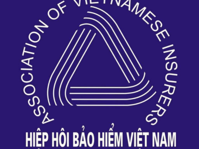 Hiệp Hội Bảo Hiểm Việt Nam